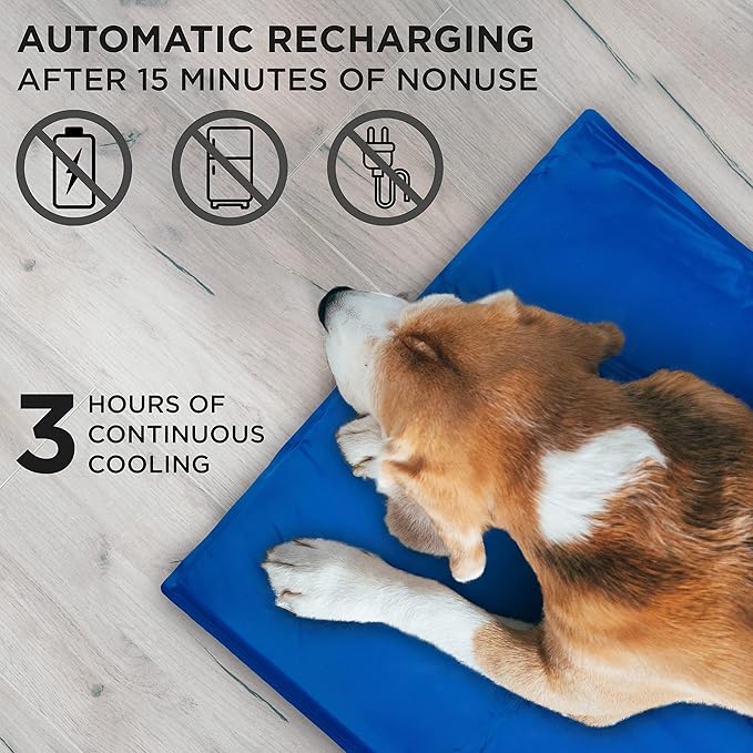 Osomnia Gel Cooling Mat